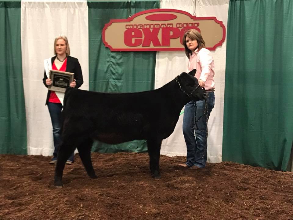 Beef Expo Champion