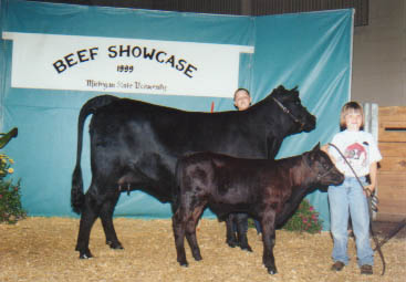 Beef Showcase 1999