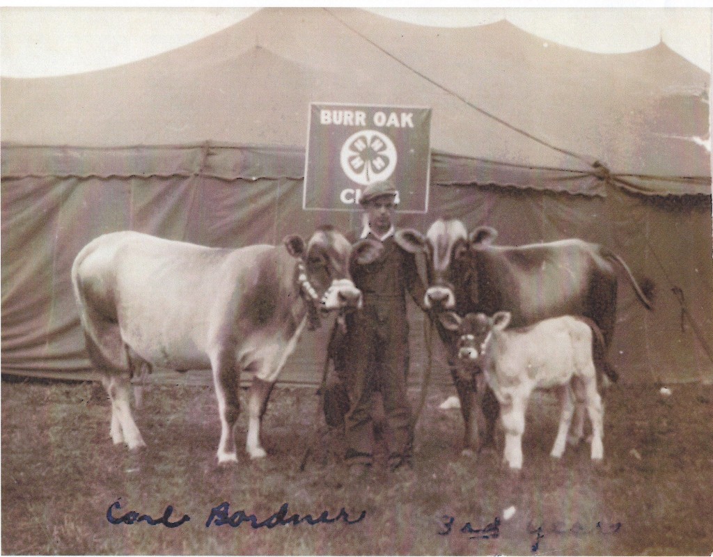 Carl Bordner with 4-H Steers