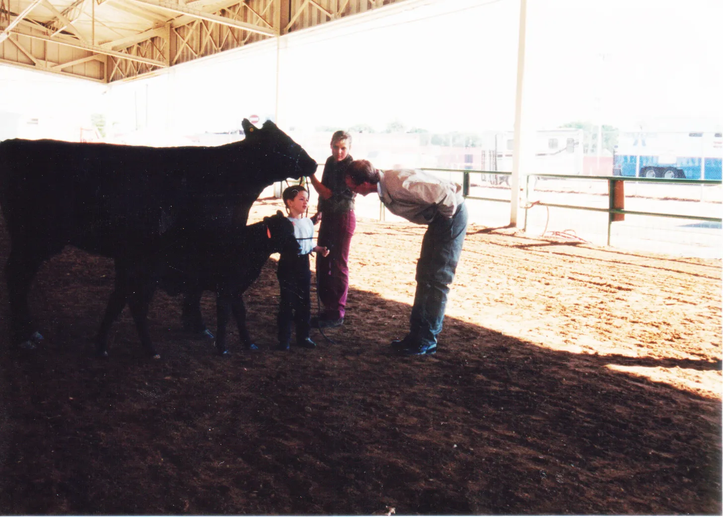 State Fair Show Ring